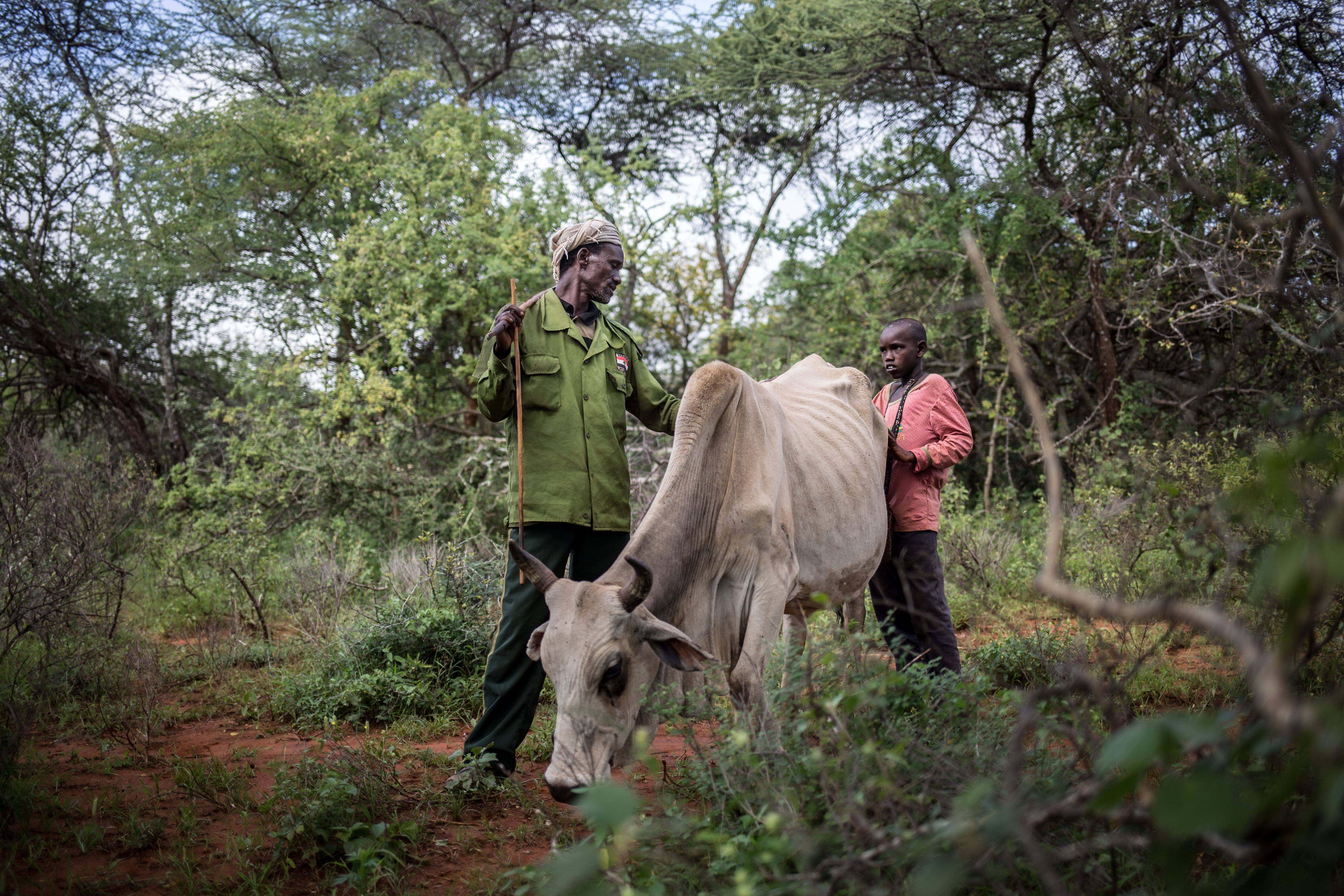 Éthiopie sécheresse Action contre la Faim